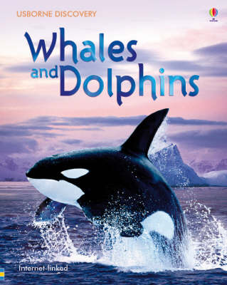Whales And Dolphins
