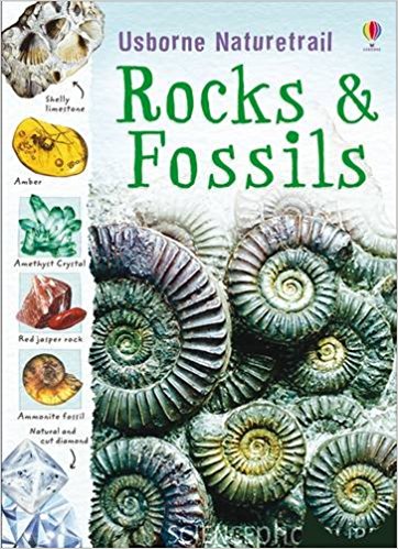 Rocks & Fossils (Usborne Nature Trail)