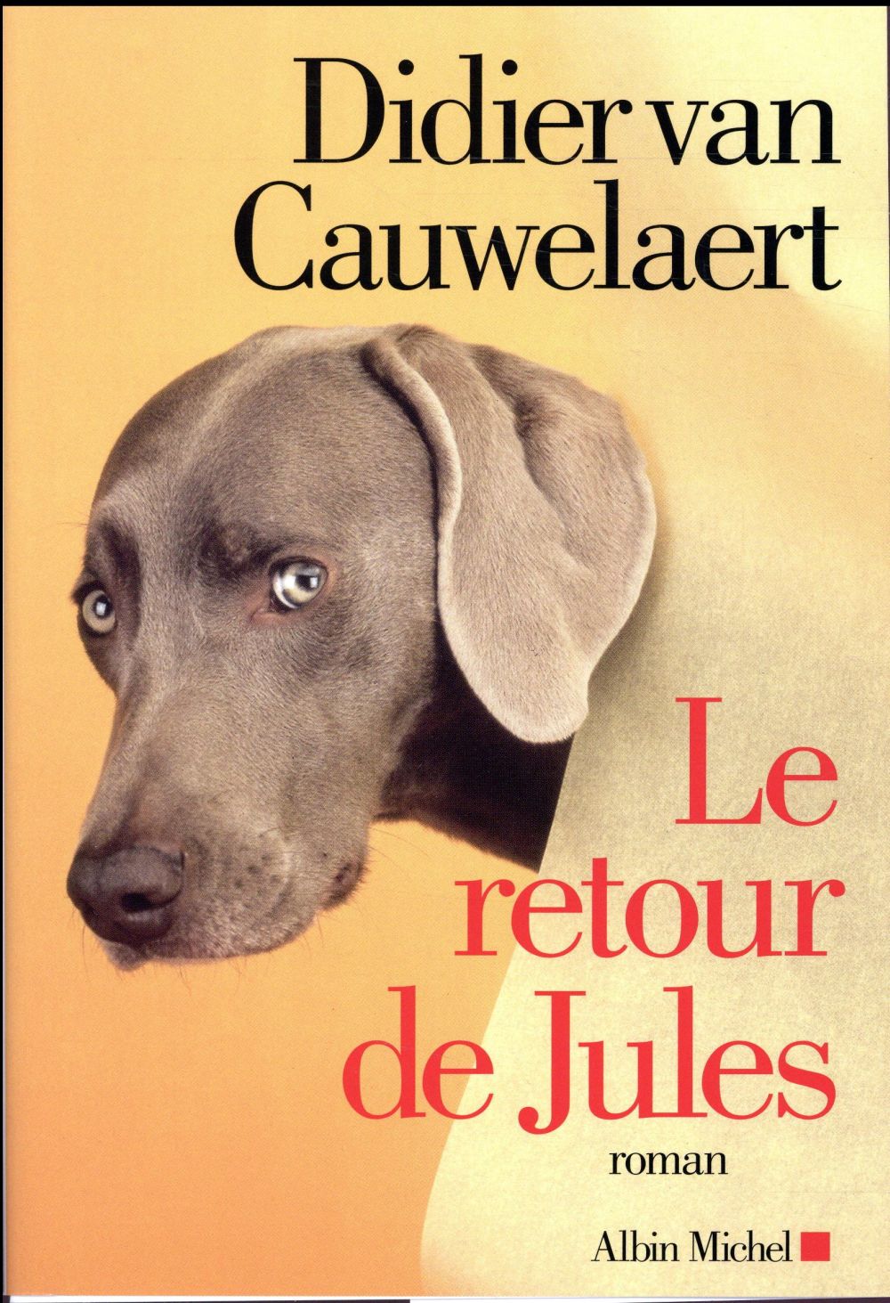 Le retour de Jules