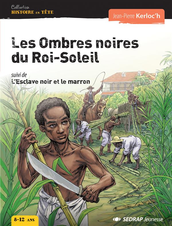 Les ombres noires du roi-soleil ; l'esclave noir et le marron