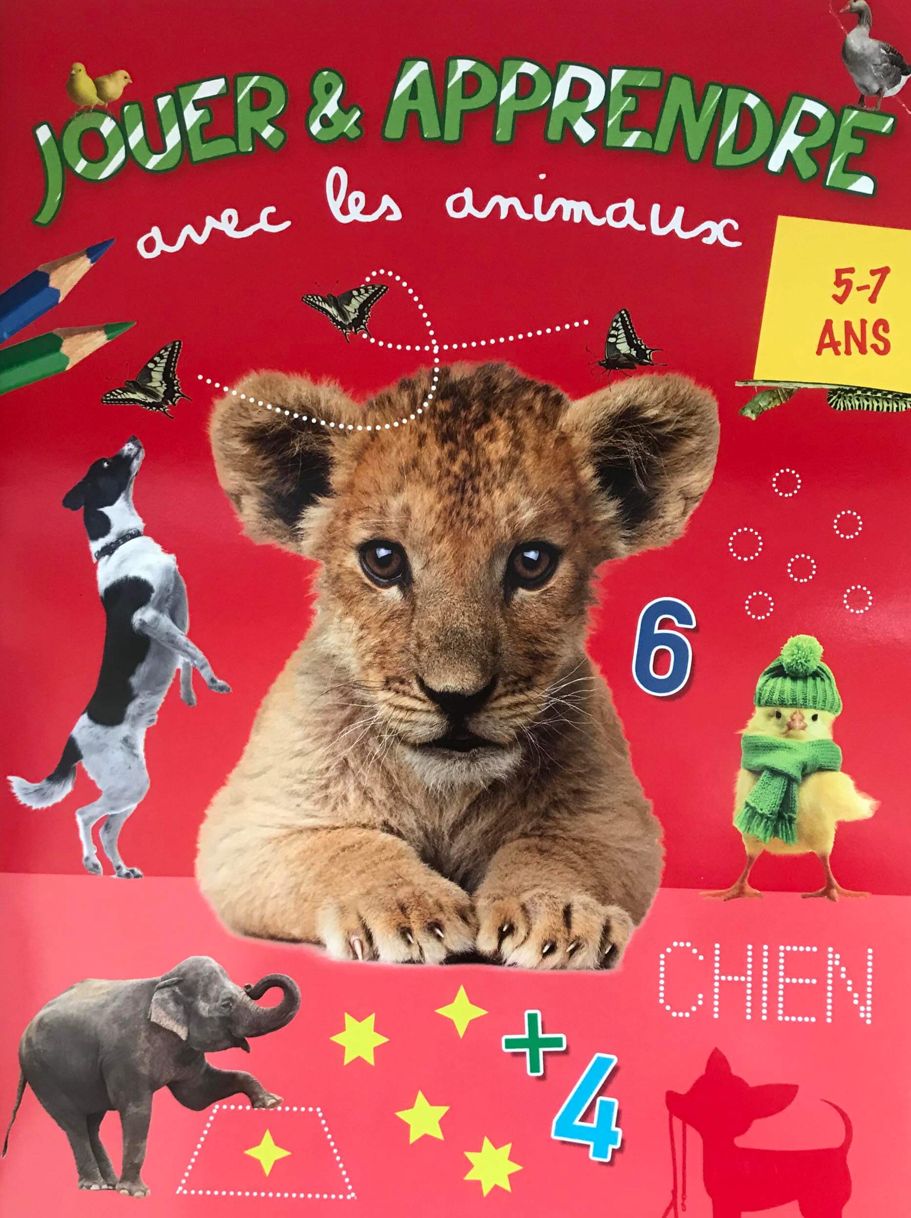 Jouer et apprendre avec les animaux :Lion