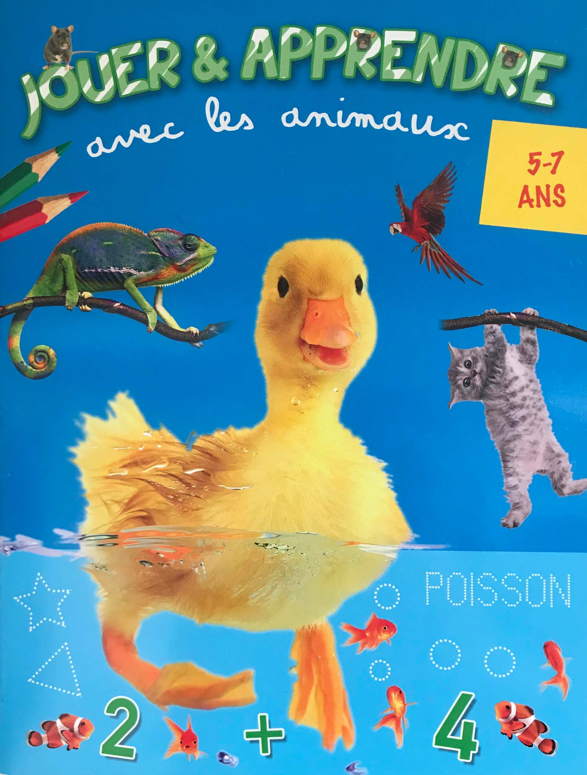 jouer et apprendre avec les animaux:poisson - Librairie Stephan