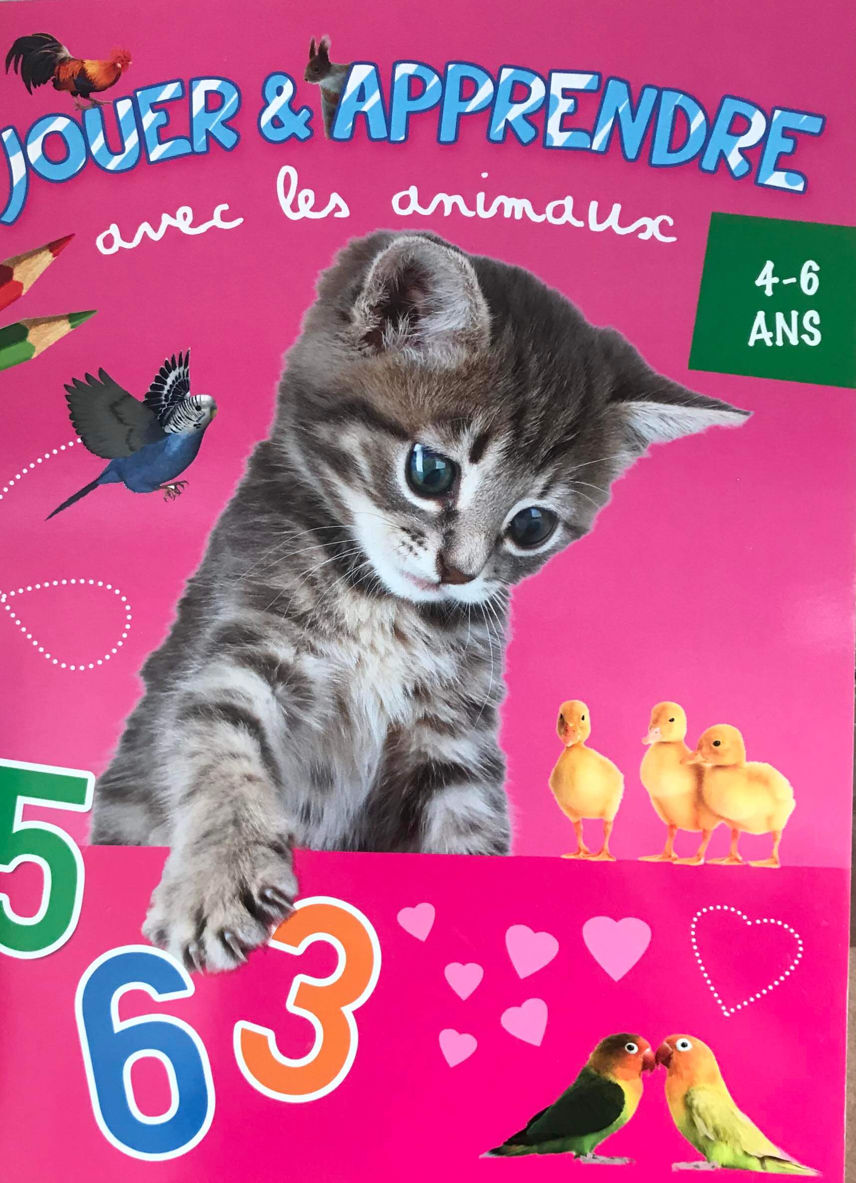 jouer et apprendre avec les animaux 4-6 ans: chat