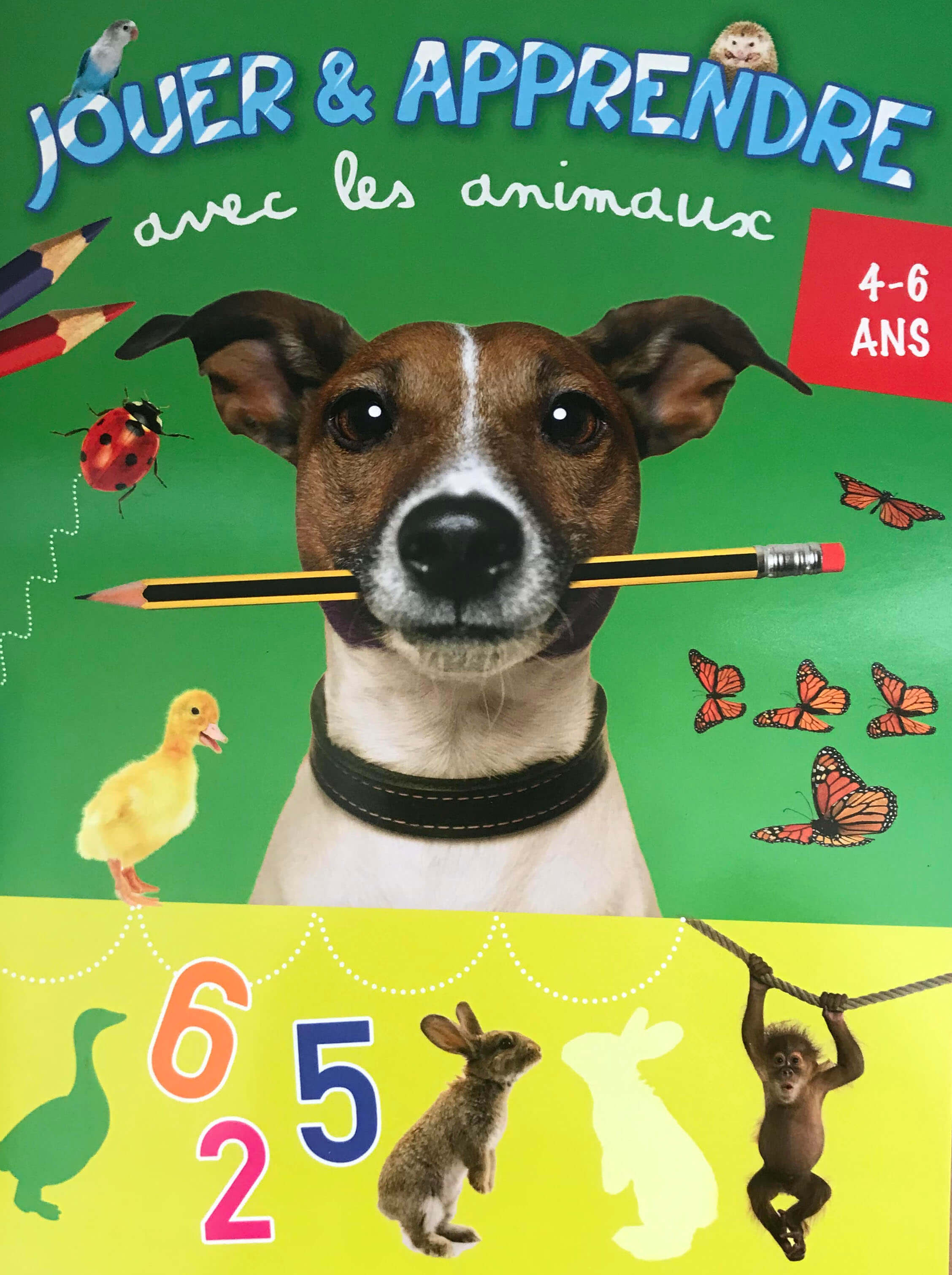 Jouer et apprendre avec les animaux- chien