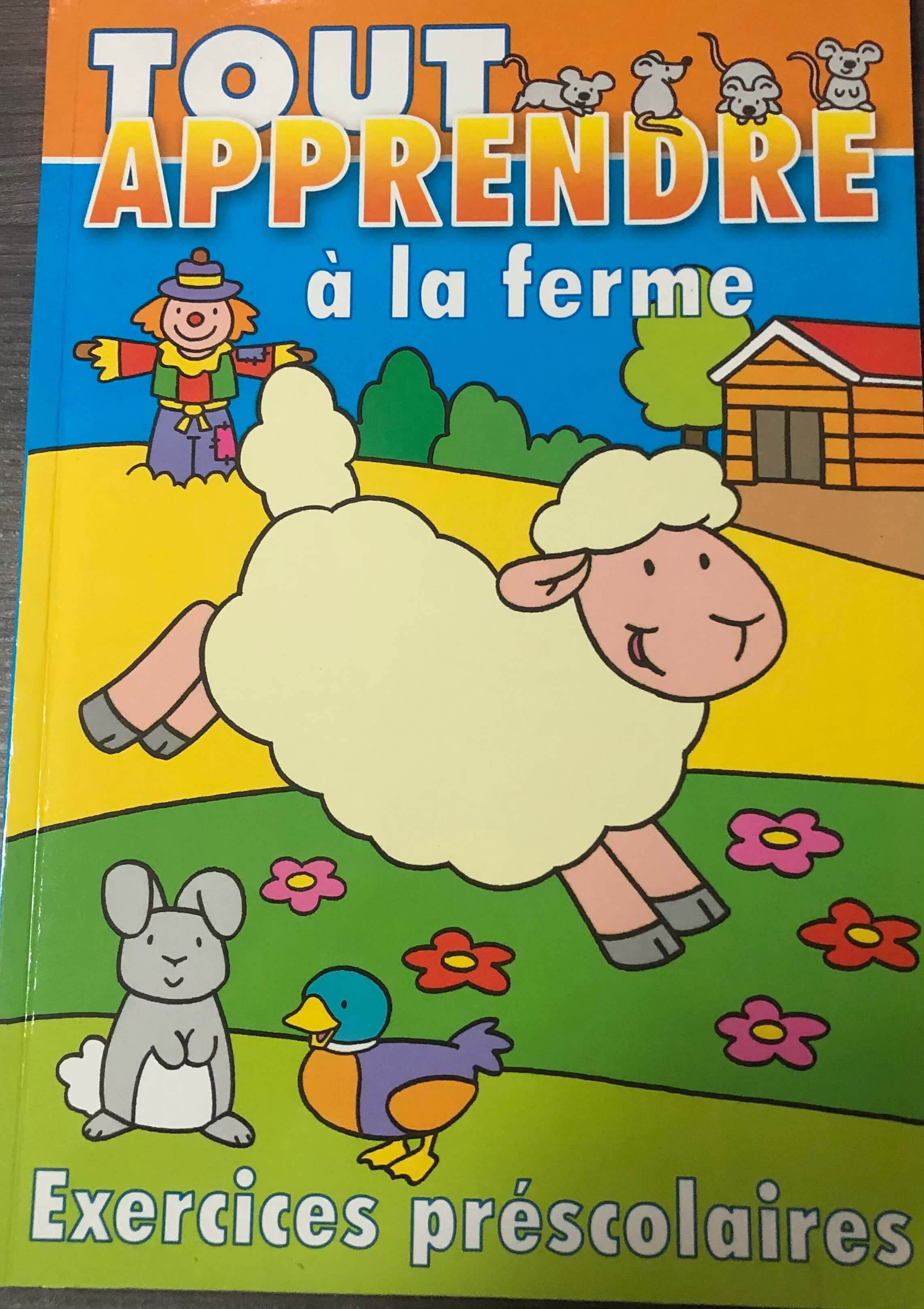 Tout apprendre à la ferme-mouton