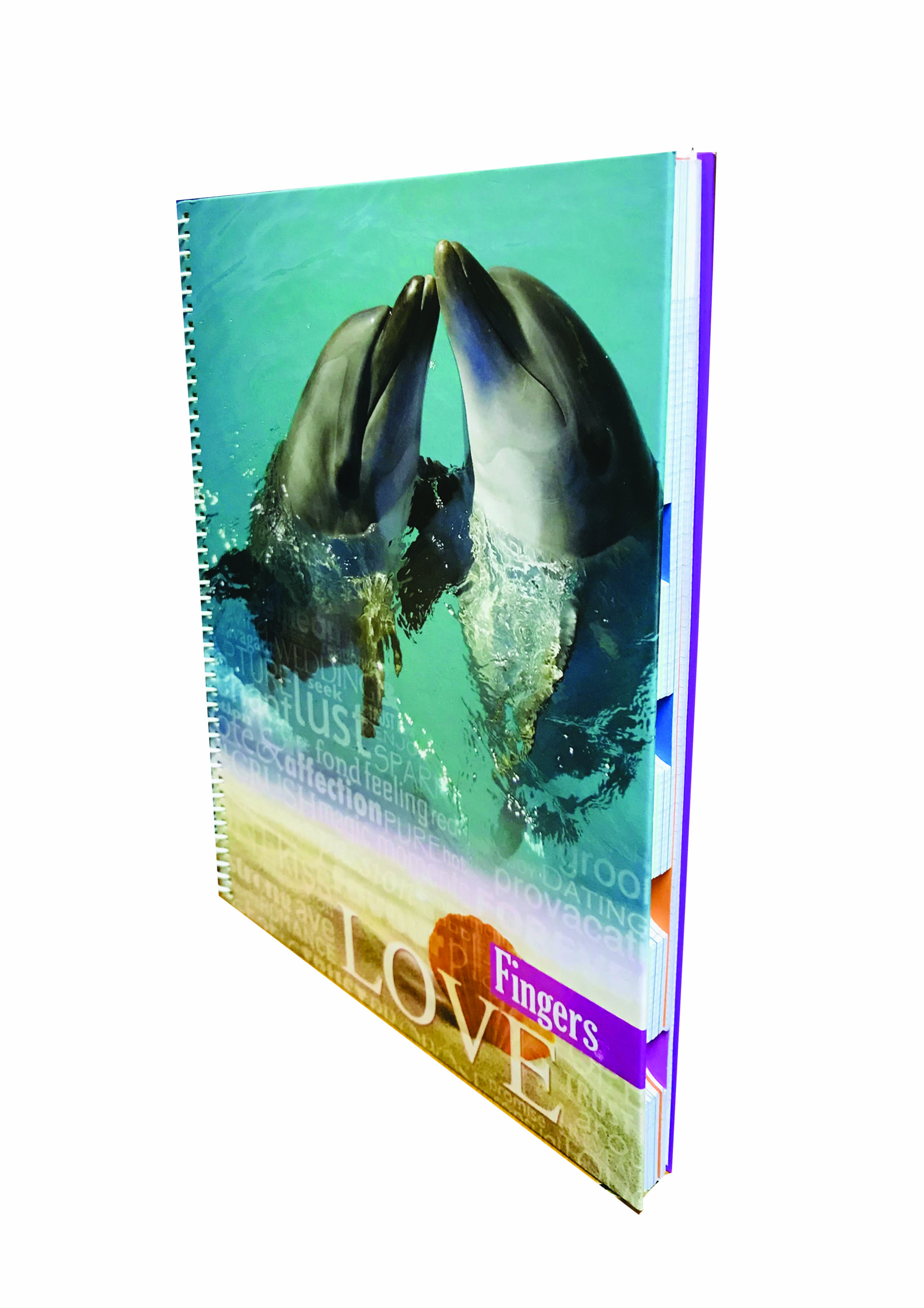 Cahier ressort 6 sujets 21x27.5 cm 144 pages
