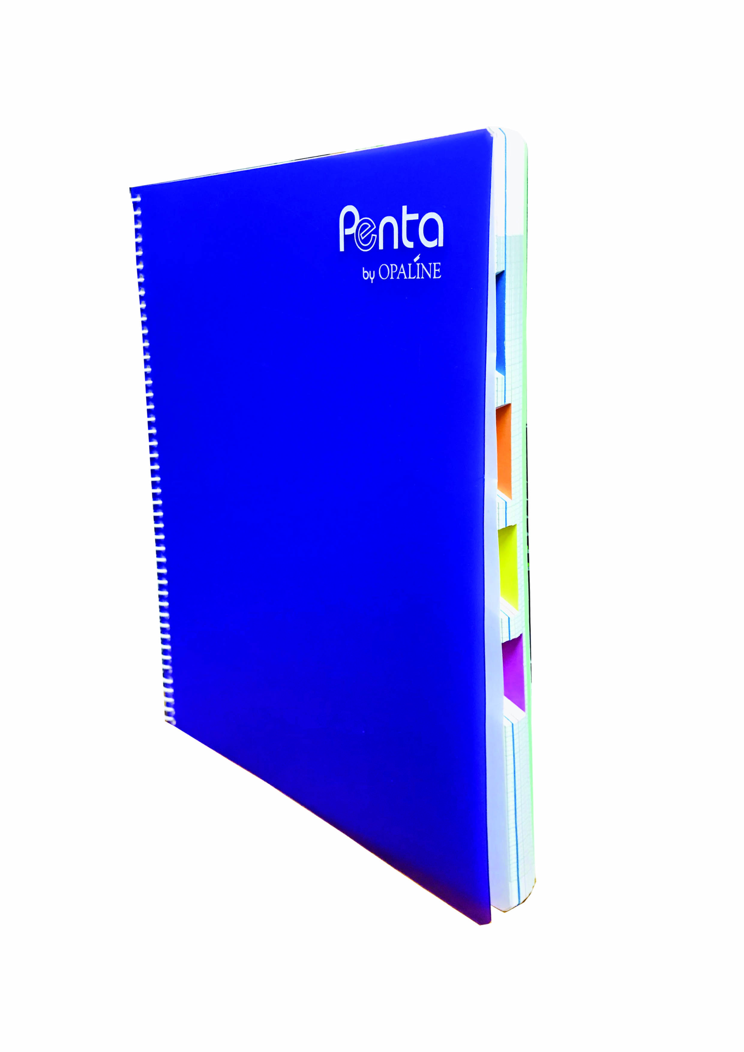 Cahier ressort 5 sujets 21x29.4 cm 144 pages