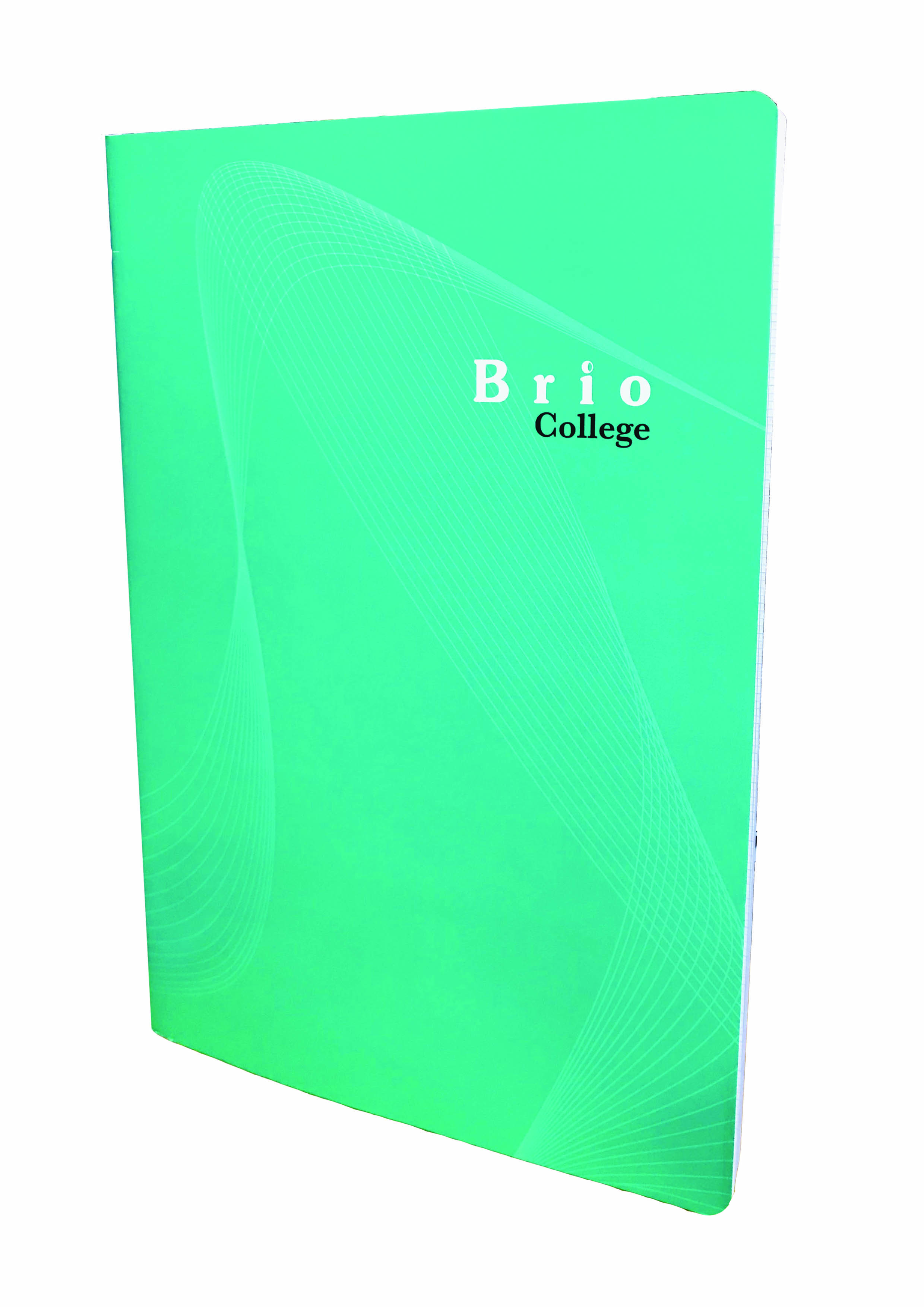 Cahier reliure souple 96 pages 21x29.4cm