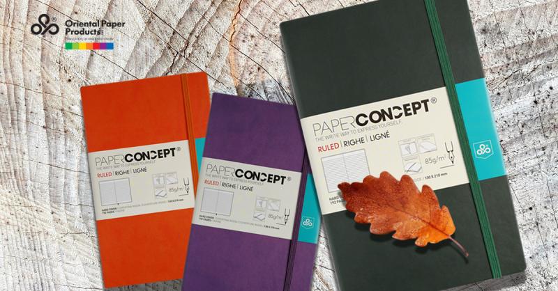 Cahier ligné couverture rigide pochette à soufflet 192 pages 210x297 mm