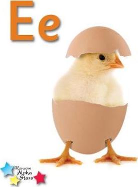 Alpha Stars Ee
