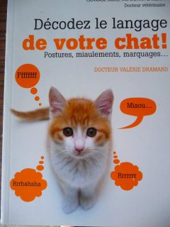 Décodez le langage de votre chat Postures, miaulem...