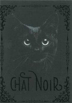 Chat Noir