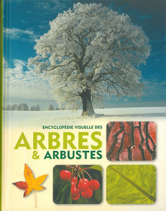 ARBRES ET ARBUSTES