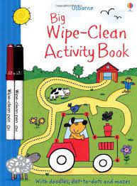 Big Wipe Clean Activity Book