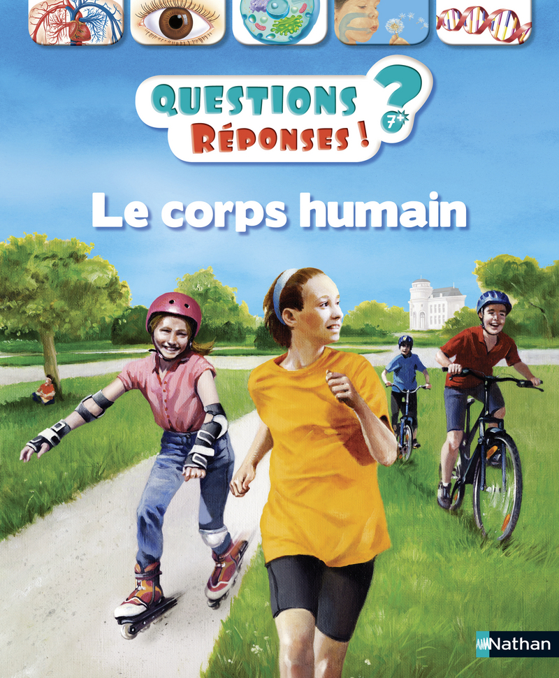 Questions Réponses!?-7+- Le corps humain
