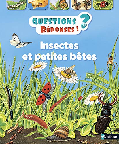 Questions Réponses!?-7+- Insectes et petites bêtes