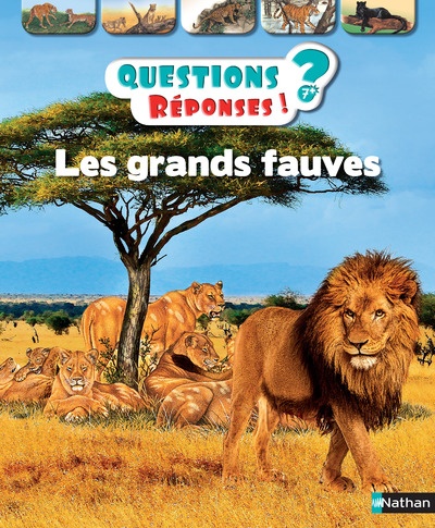 Questions Réponses!?-7+- Les grandes fauves