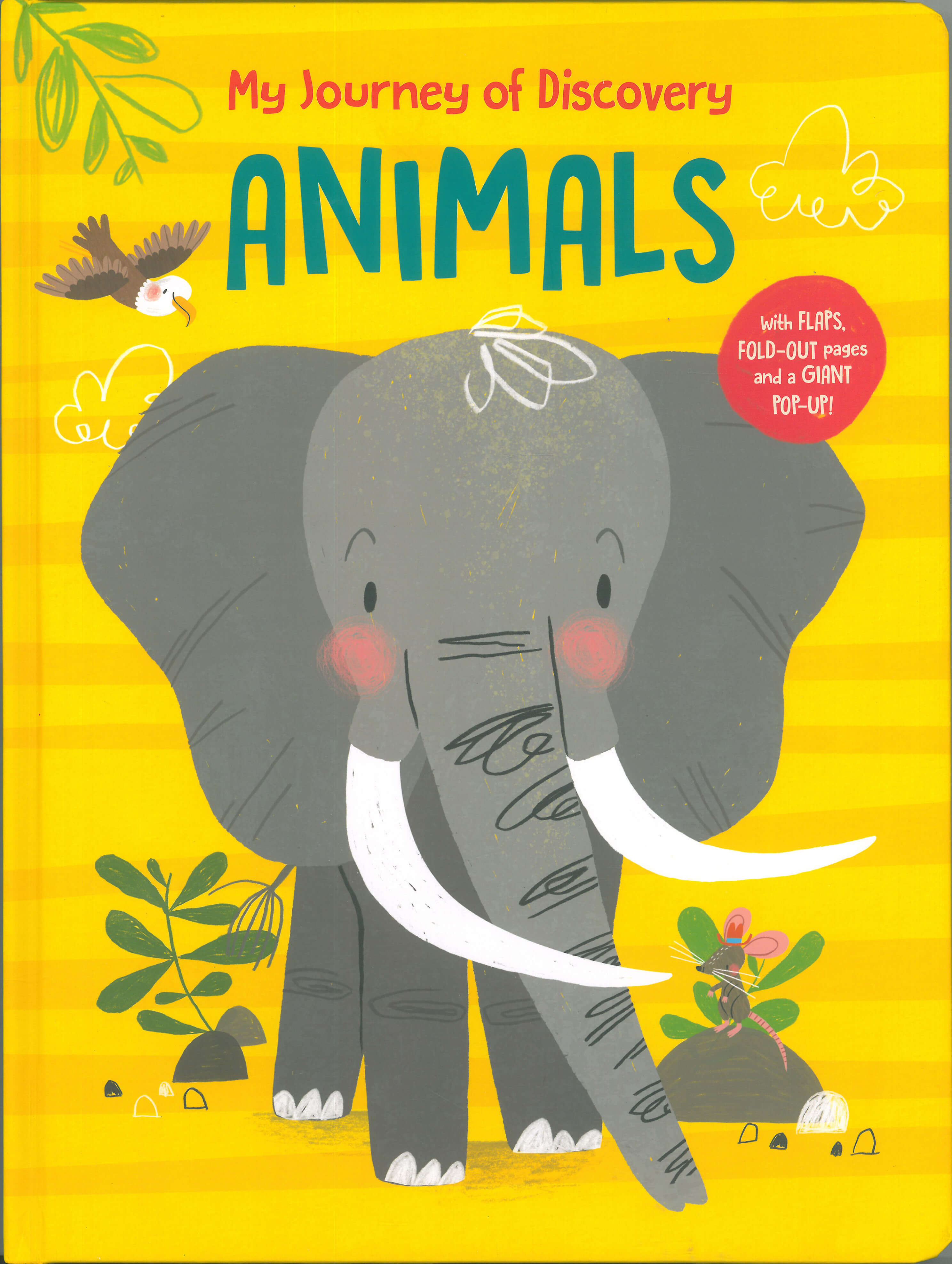 Animals