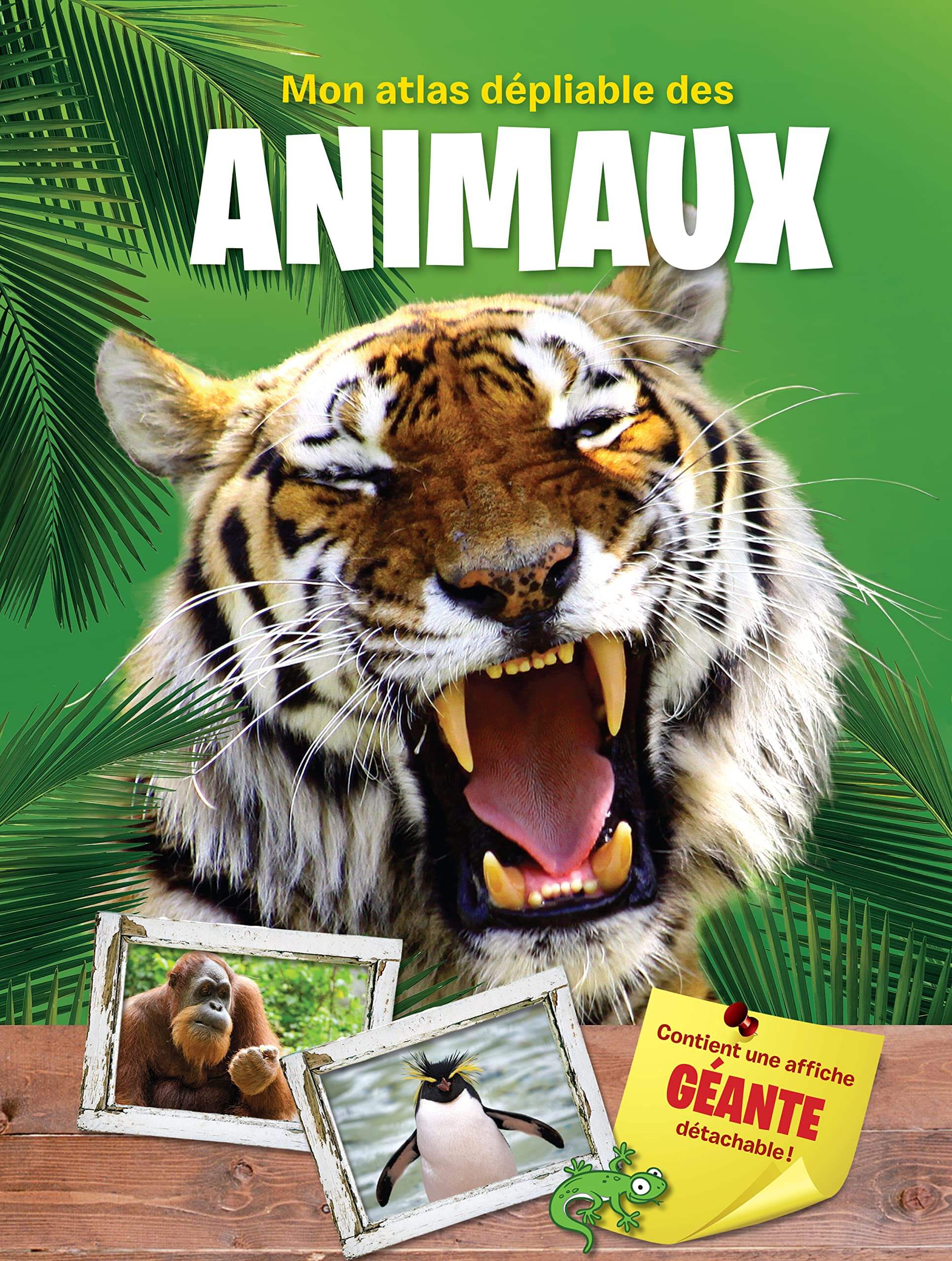 Animals