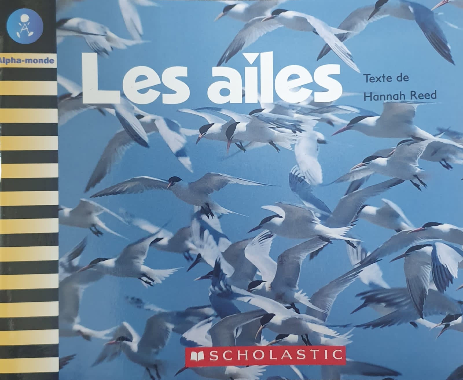 Les ailes Librairie Stephan