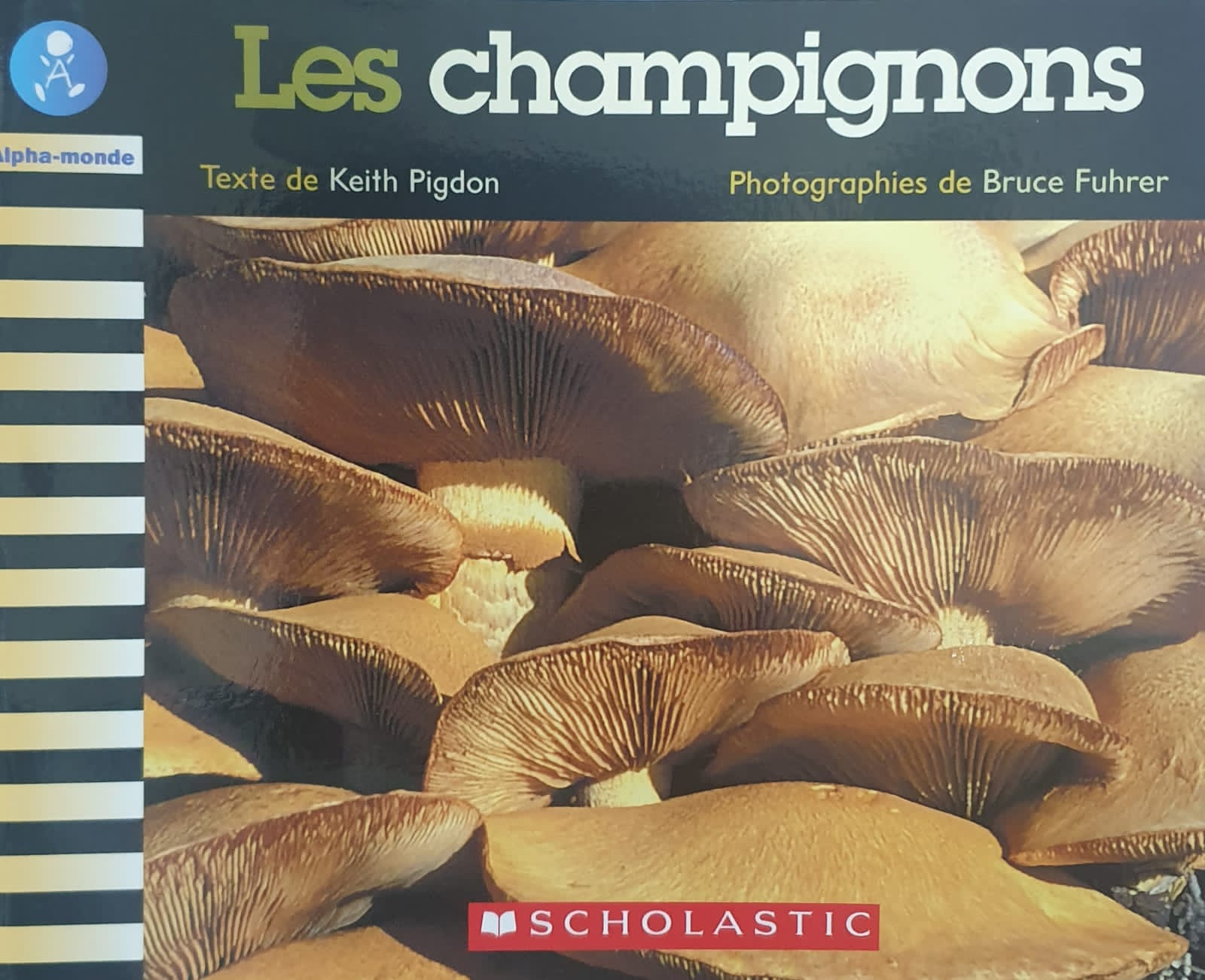 Les champignons