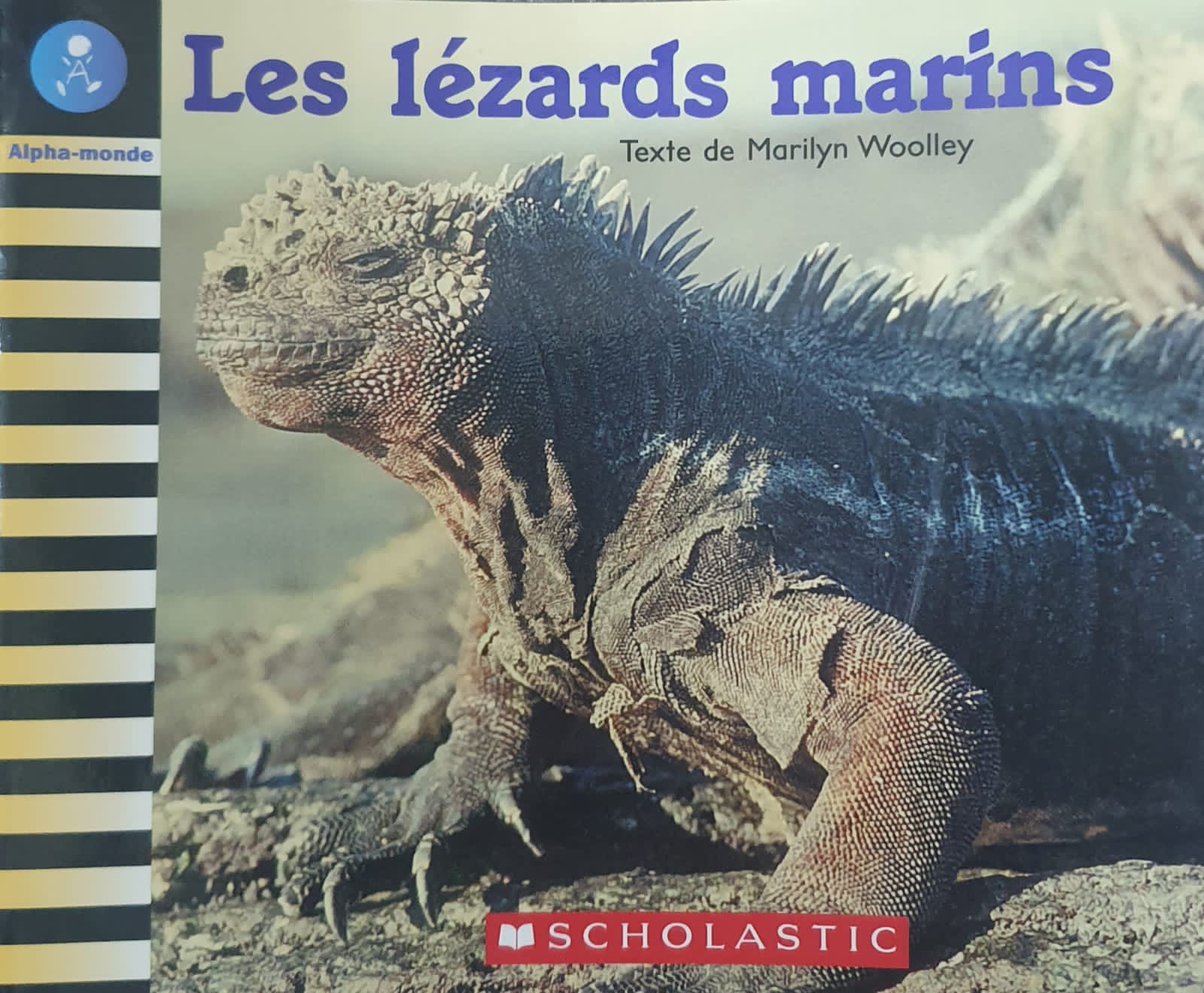 Les lézards marins