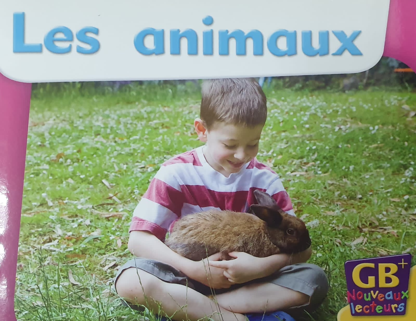 Les animaux