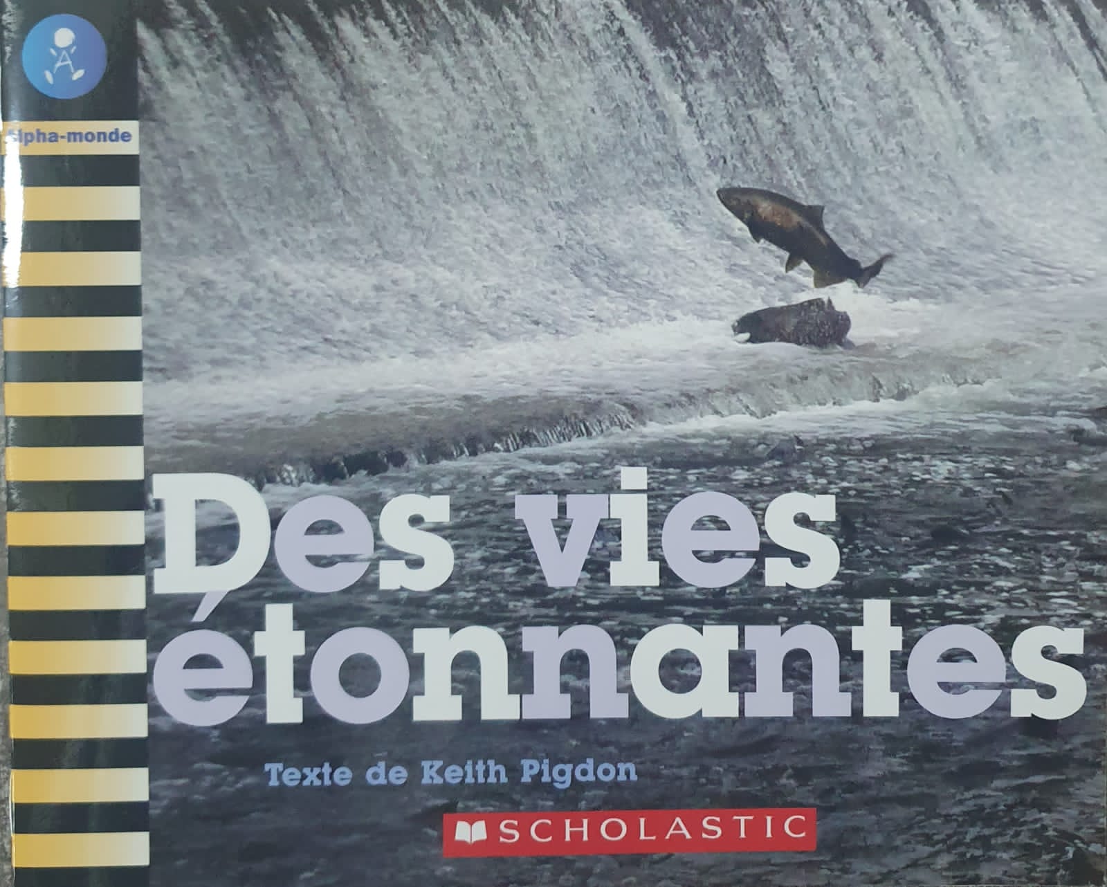 Des vies étonnantes