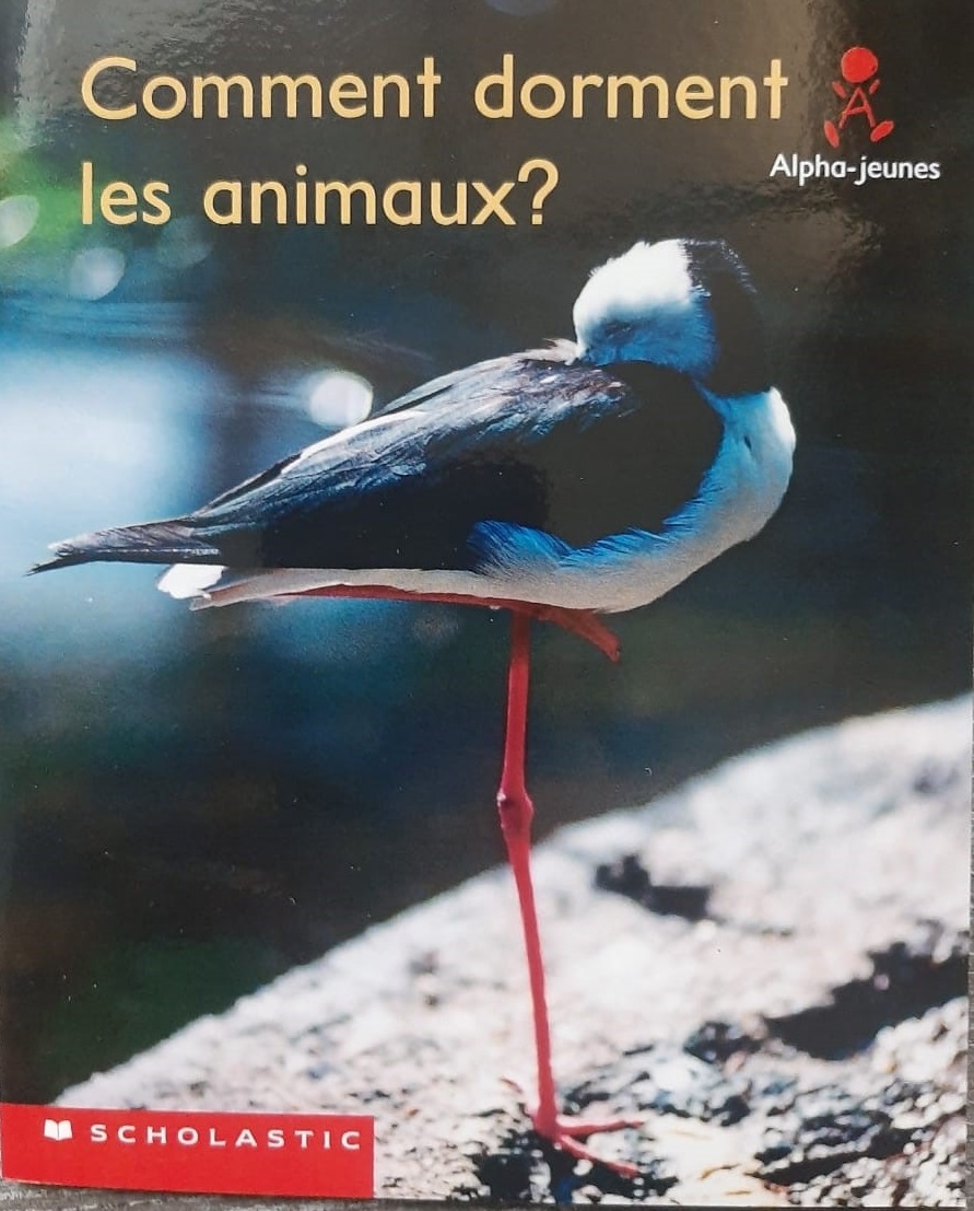Comment dorment les animaux ?