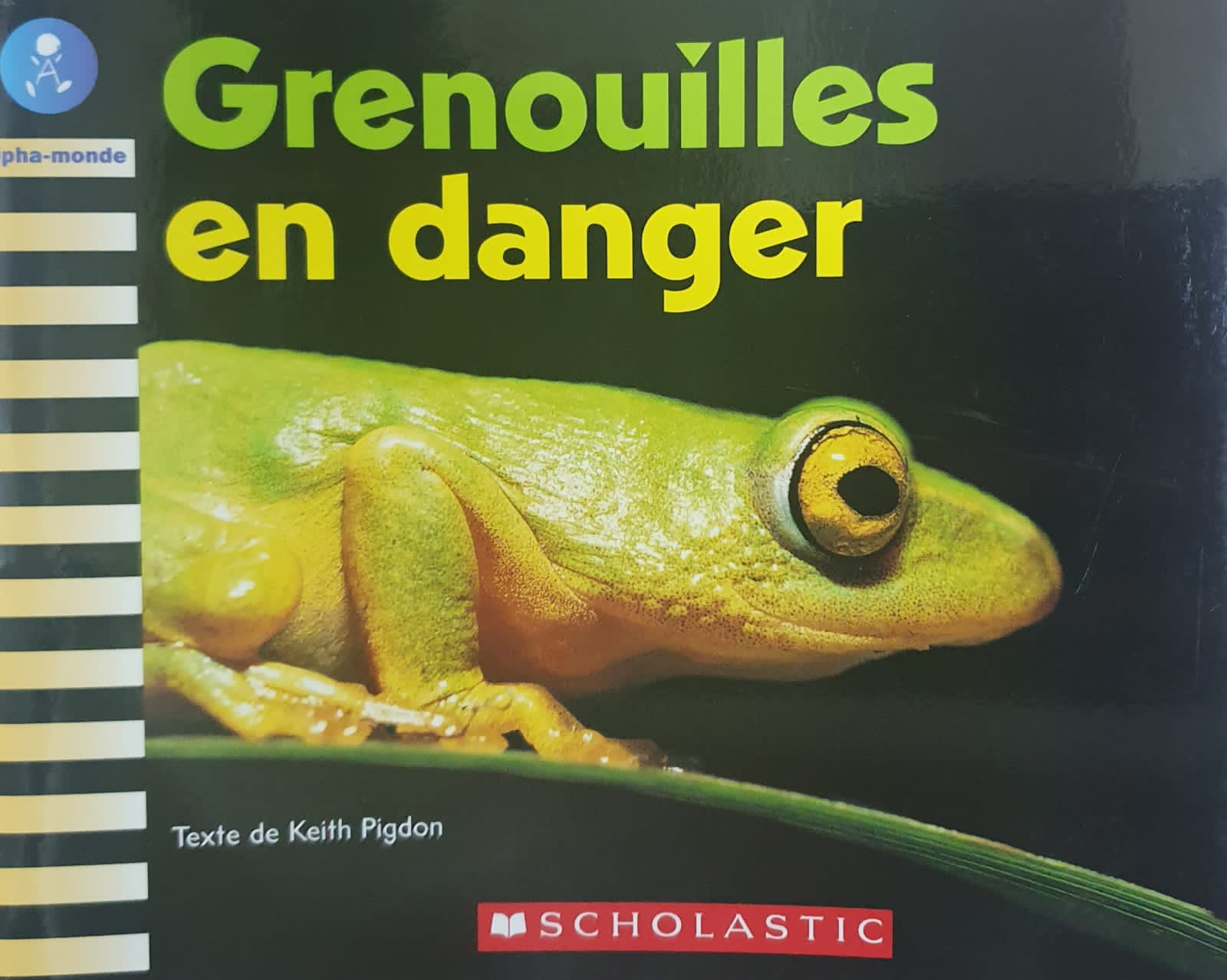 Grenouilles en danger