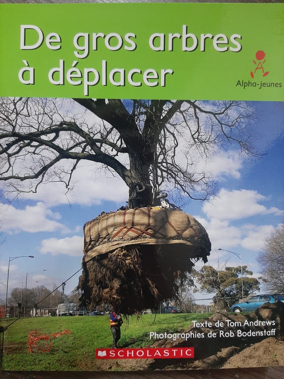 De gros arbre à déplacer