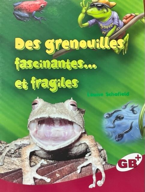 Des grenouilles fascinantes... et fragiles