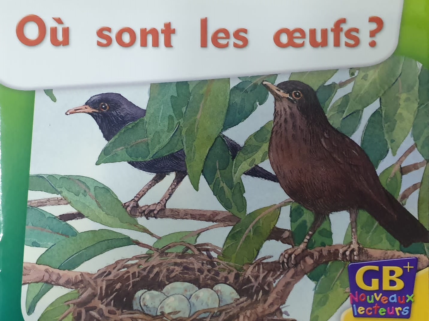Où sont les oeufs?