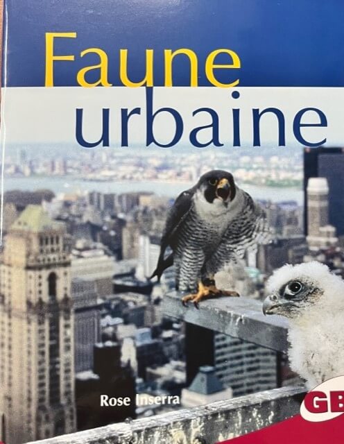 Faune urbaine