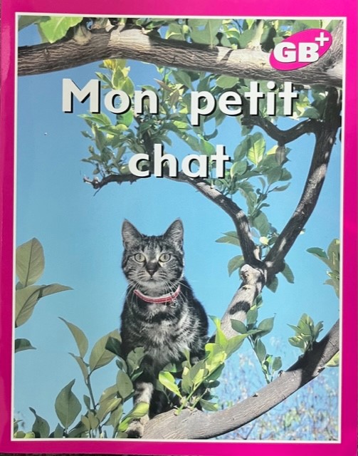 Mon petit chat