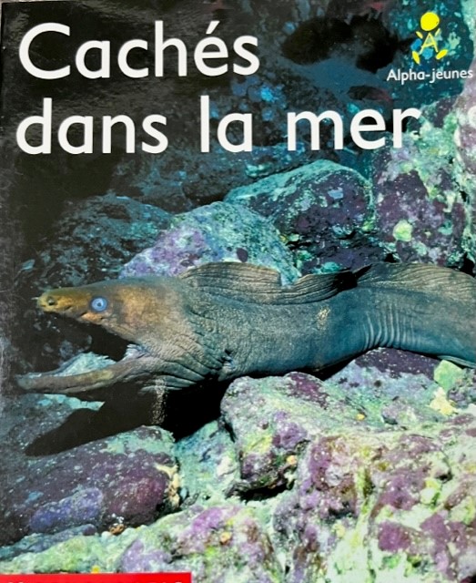 Cachés dans la mer