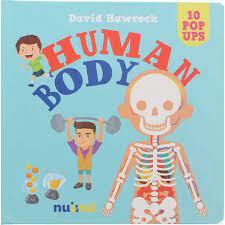 10 Pop ups: Human Body