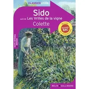Sido - Suivi DE LES Vrilles DE LA Vigne